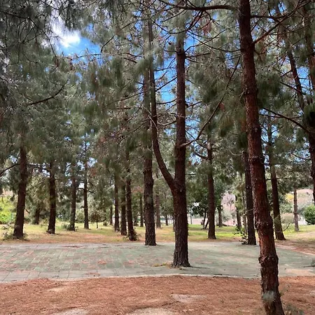 펜션 Fiorilla 제얼미어스