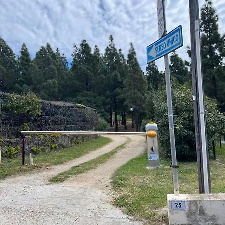 Fiorilla * 제얼미어스